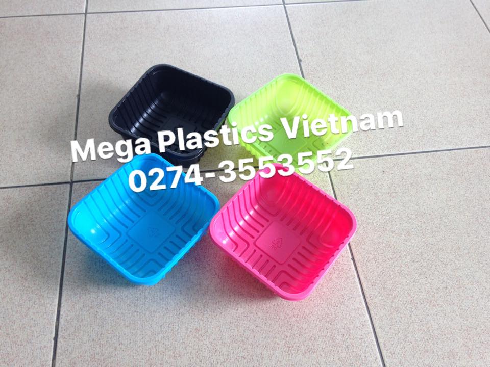 Khay nằm - Bao Bì Nhựa Mega Plastics - Công Ty TNHH Mega Plastics Việt Nam